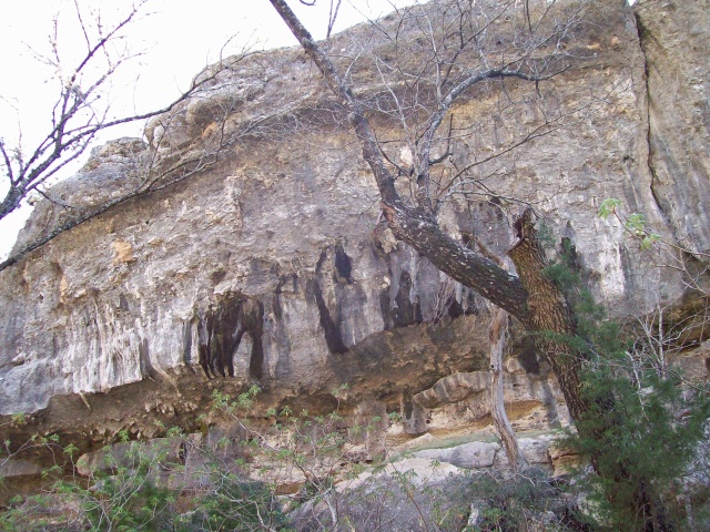 2010-03-12-Hamilton Pool-06.jpg
